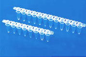 PCR Tube